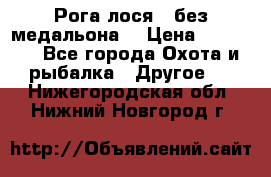 Рога лося , без медальона. › Цена ­ 15 000 - Все города Охота и рыбалка » Другое   . Нижегородская обл.,Нижний Новгород г.